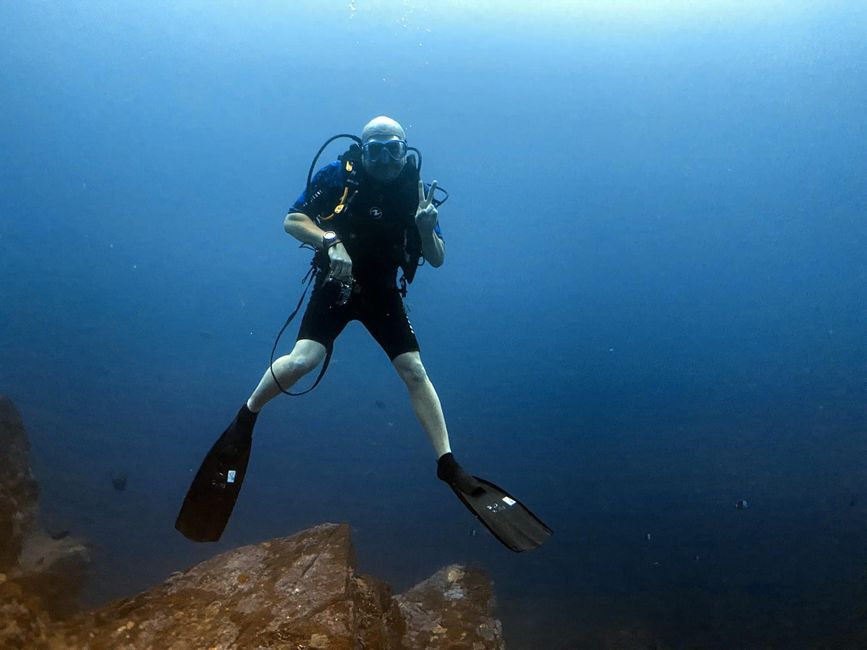 Eine Woche Tauchsafari mit der MV Bavaria 