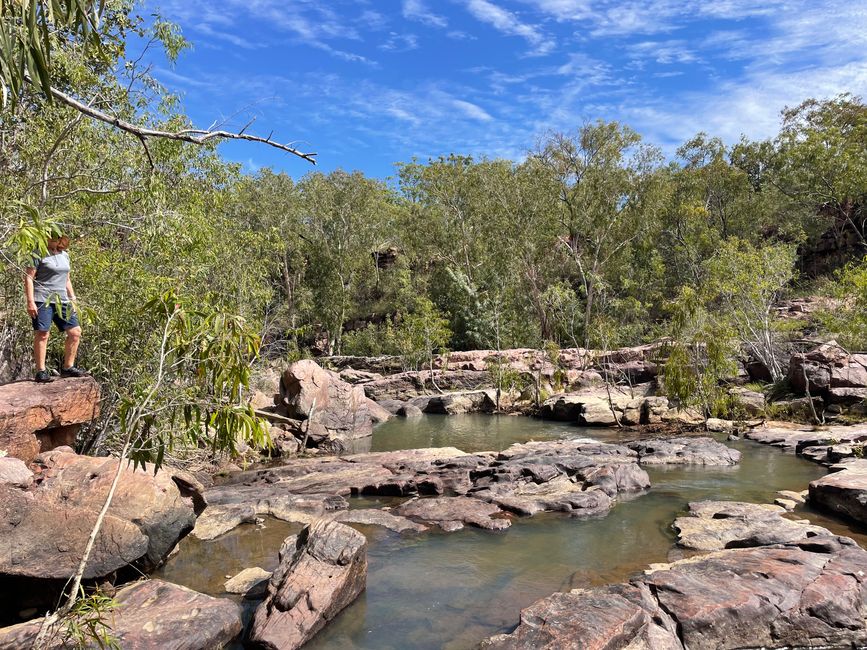 One must climb a lot and push through dense vegetation. One should not have too many fears of