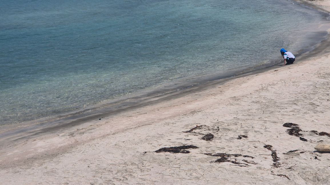 Takahama und wakasa wada beach 🥰