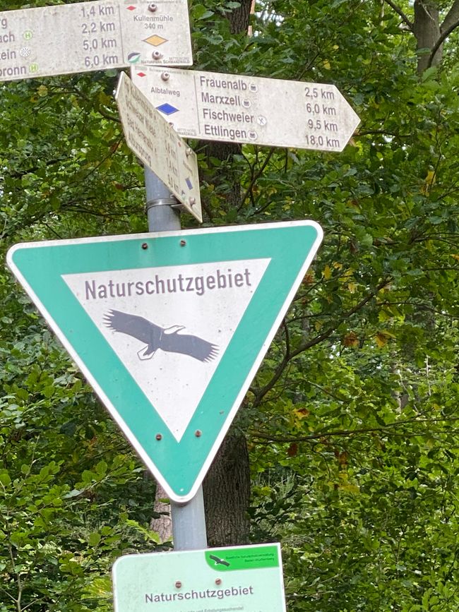Hier geht es durch den Bannwald