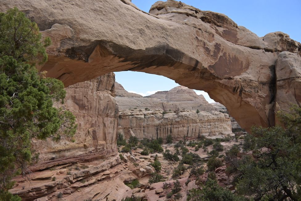 Capitol Reef NP - Hickman Bridge