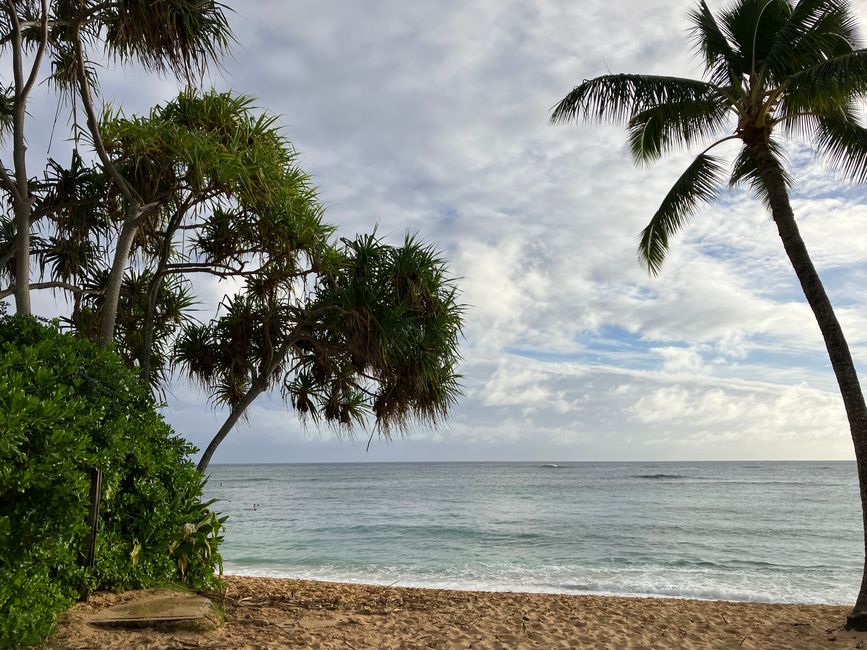 D18 - 7am Yoga with Norbi and Poipu beach with monk seals, sea turtles and Humuhumunukunukuapua‘a