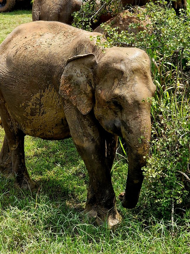 Hurulu Eco Park