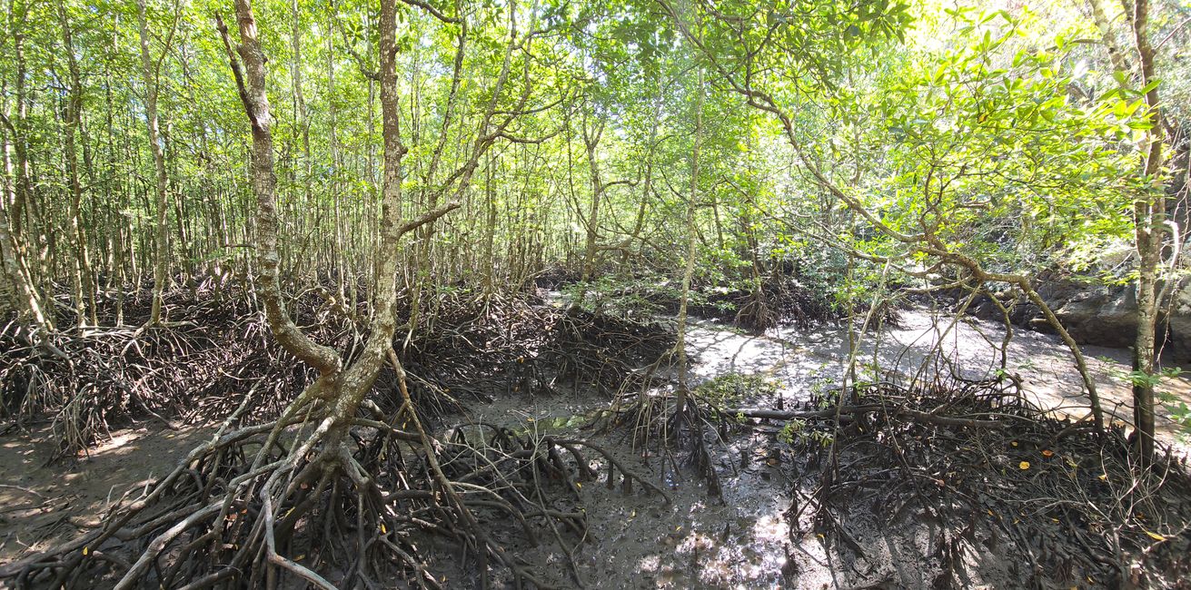 Langkawi - Reif für die Insel!