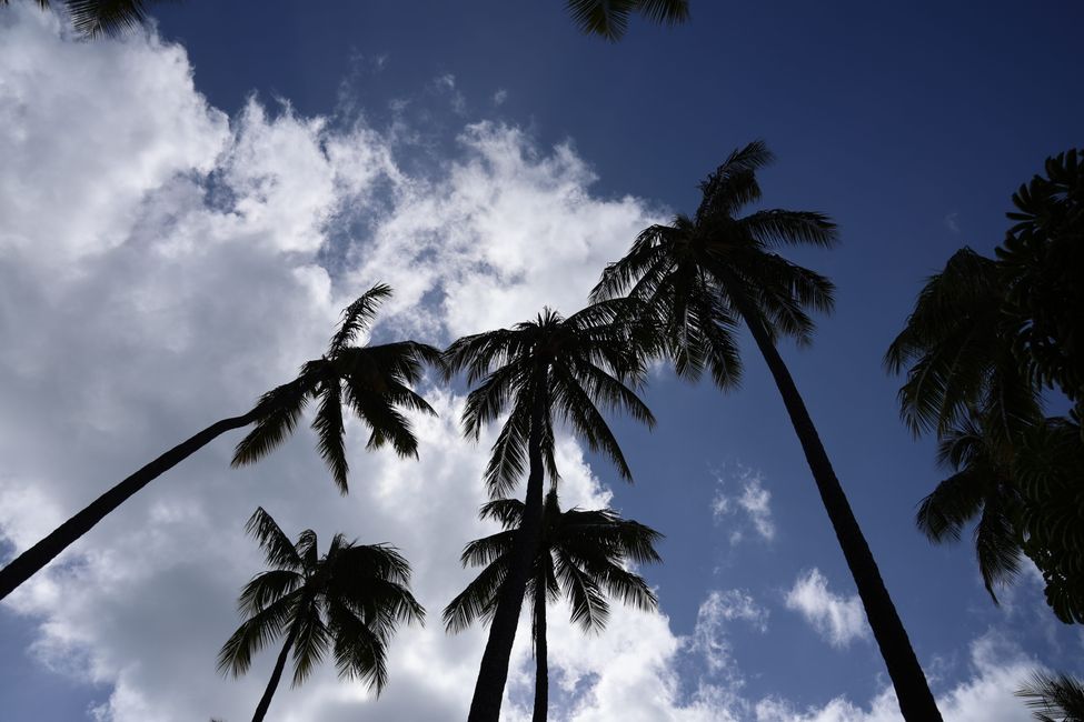 Addio alle Hawaii