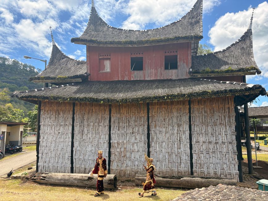 Pacu Jawi