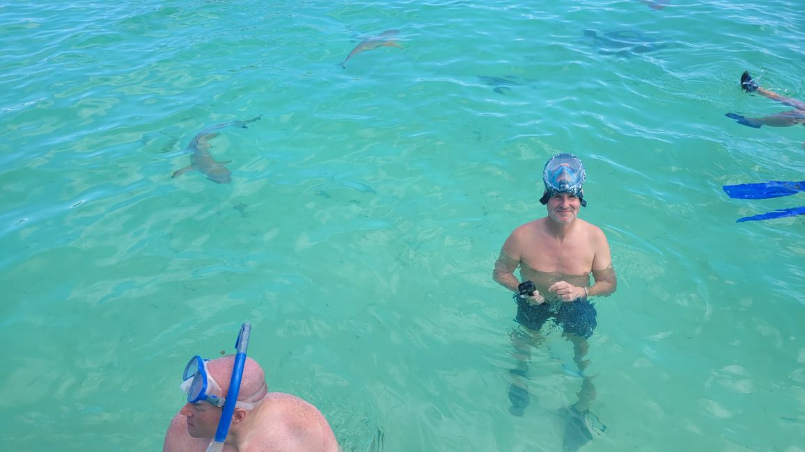 Esnórquel con raya y tiburones en el agua turquesa frente a Bora Bora.