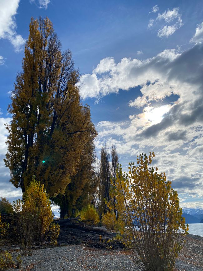 Tekapo, working and off we go