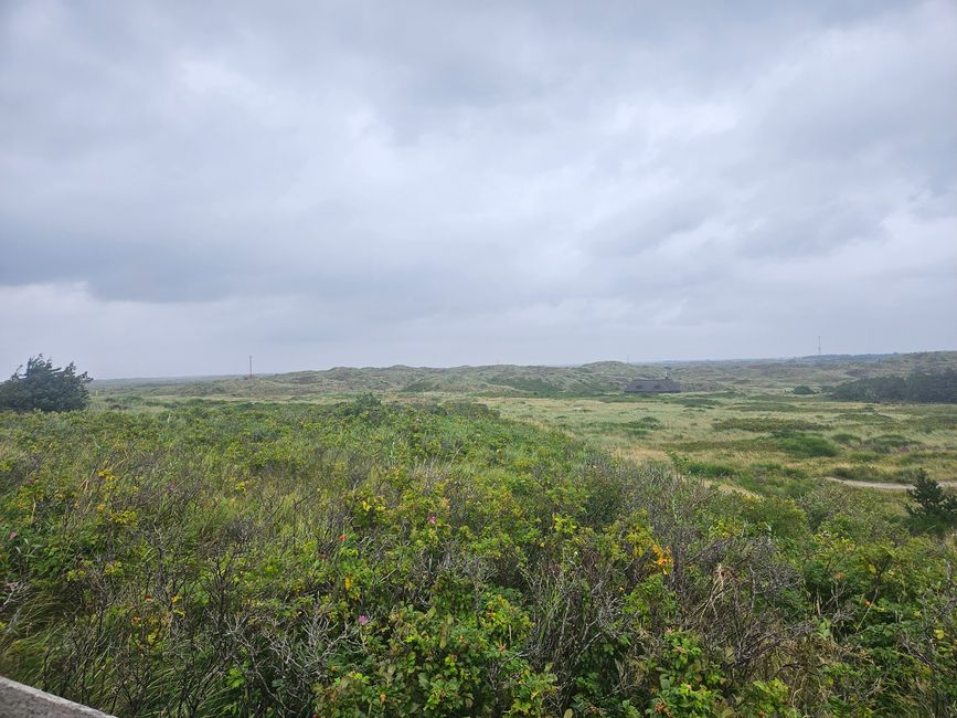 Blåvand ● Vista desde delante del faro 