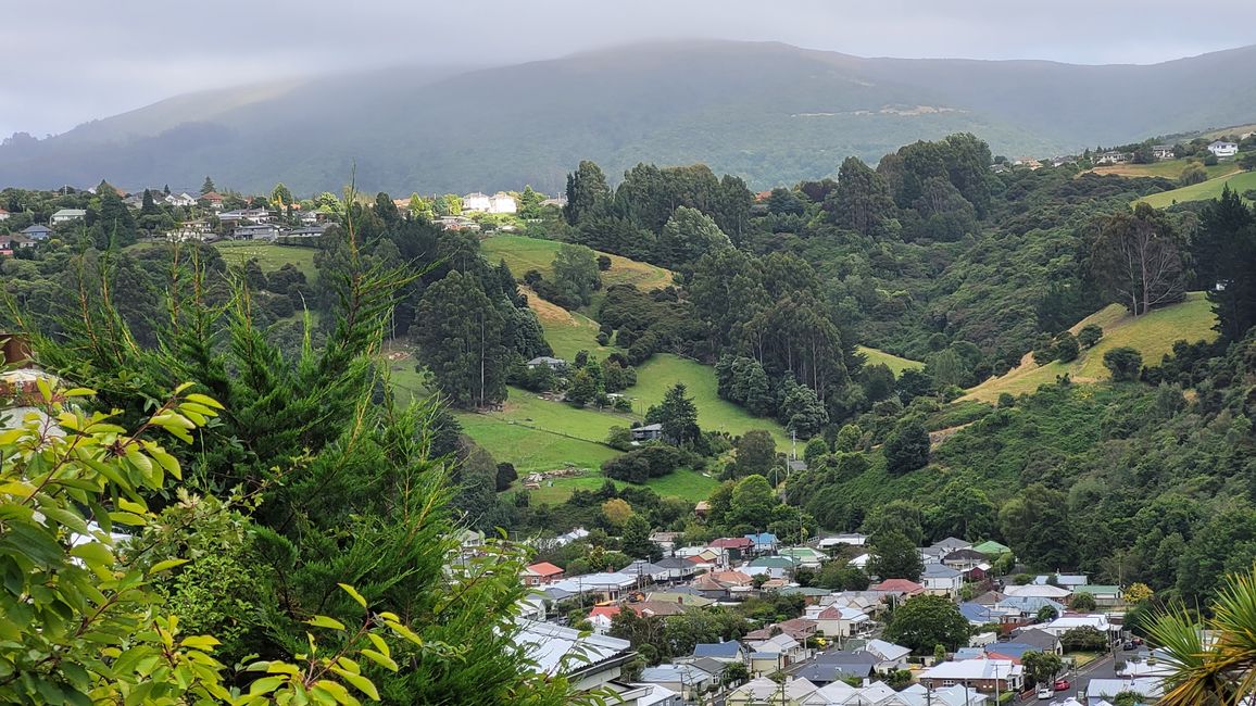 29.Januar -27.Februar 2025 Neuseeland
7.Februar