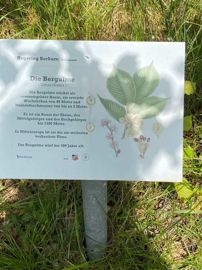 28.05.2024 Dienstag 