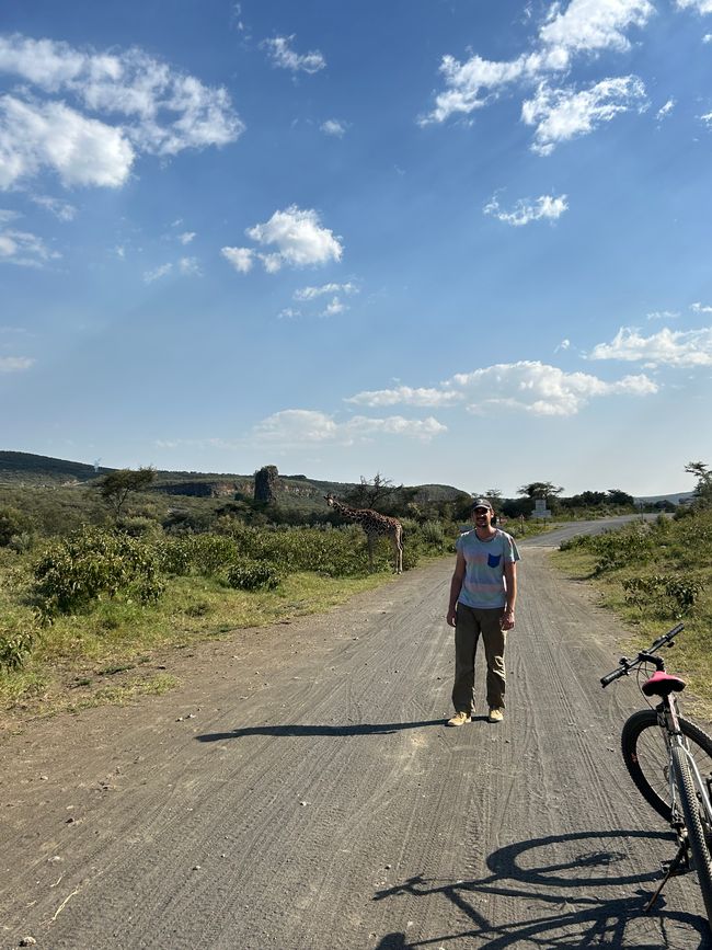 Nashörnchen in Ol Pejeta und Flusspferde in Naivasha