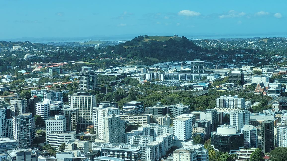 January 29 - February 27, 2025 New Zealand
January 24