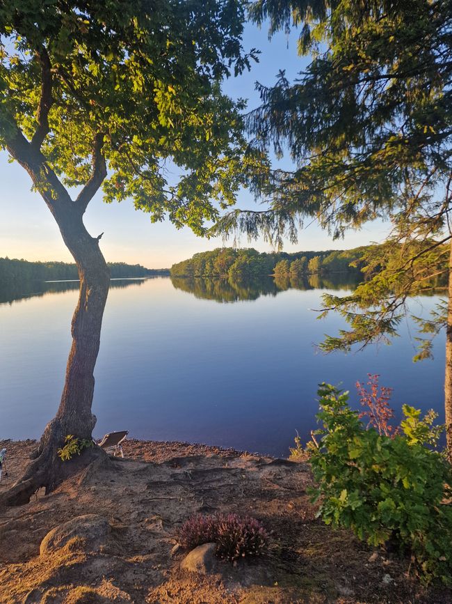 Schweden 5. Tag - Angeln Laholm