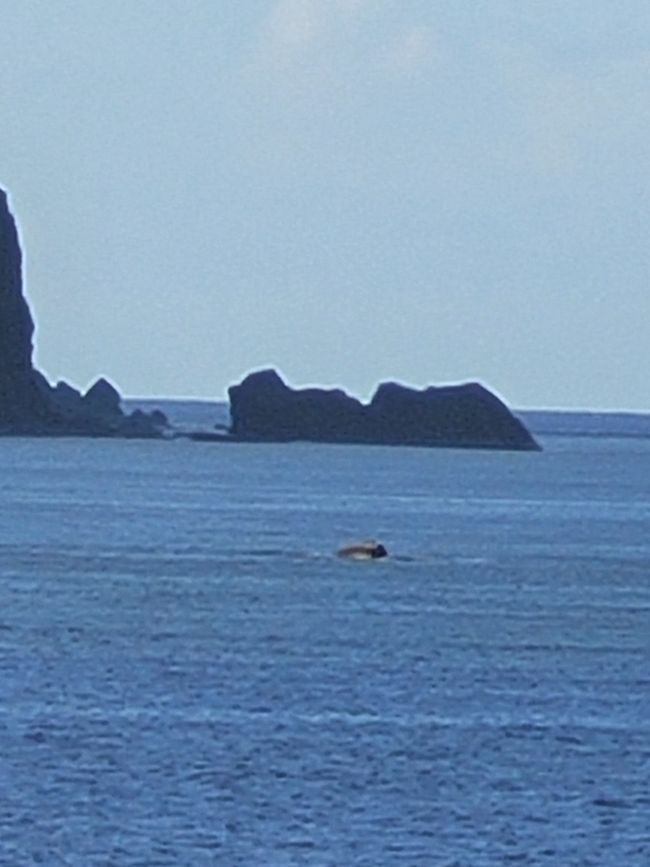 Tag 54 und 55 von 175: Kreuzfahrt rund um die Welt  - Hanga Roa/Osterinsel