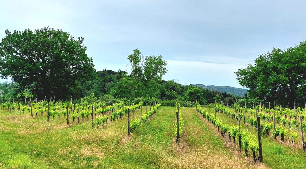Tour de Toscana 2026