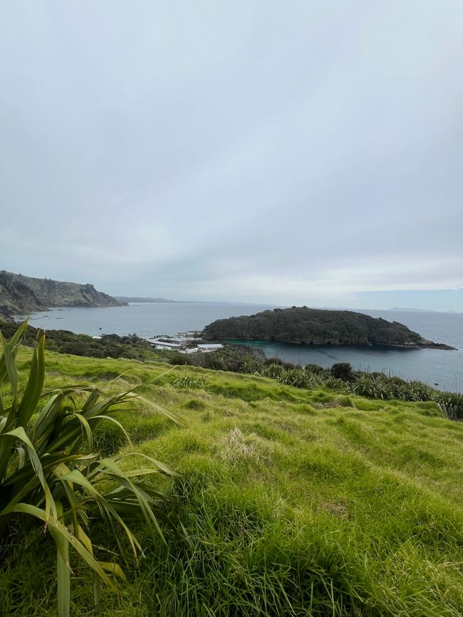 Camping, paisaje impresionante