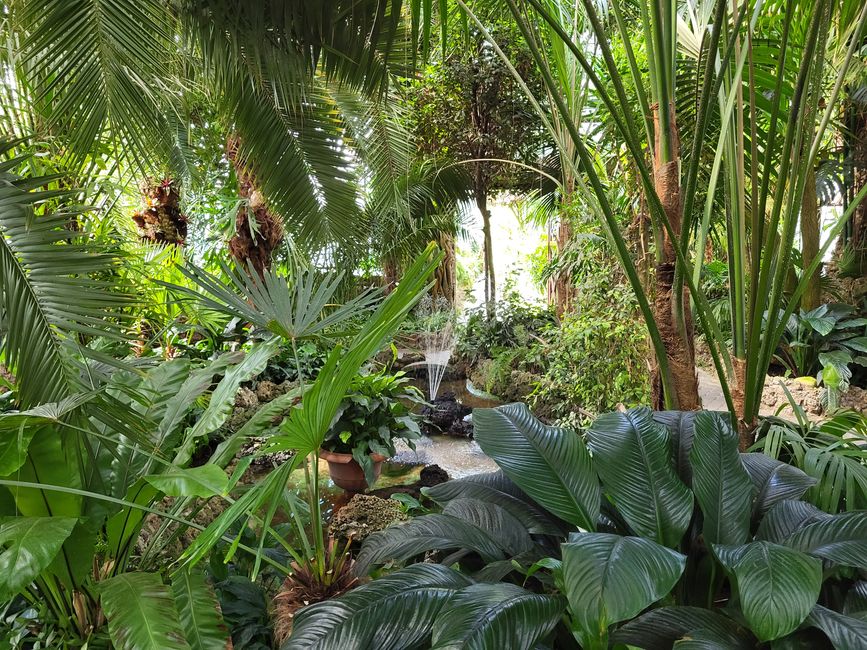 Palmenhaus
