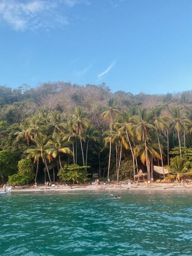 Pura Vida en Santa Teresa 🇨🇷🌴🔆🌊🐚