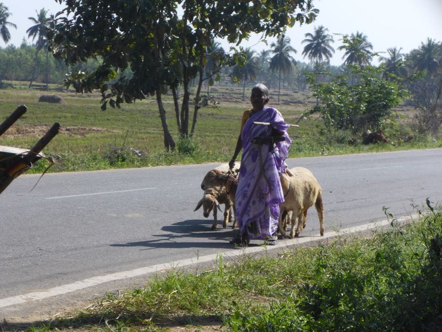2024-12-13 Hampi und Mysore, Indien