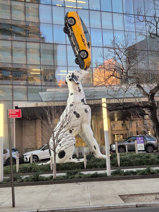 Tag 4: Reise nach Orlando