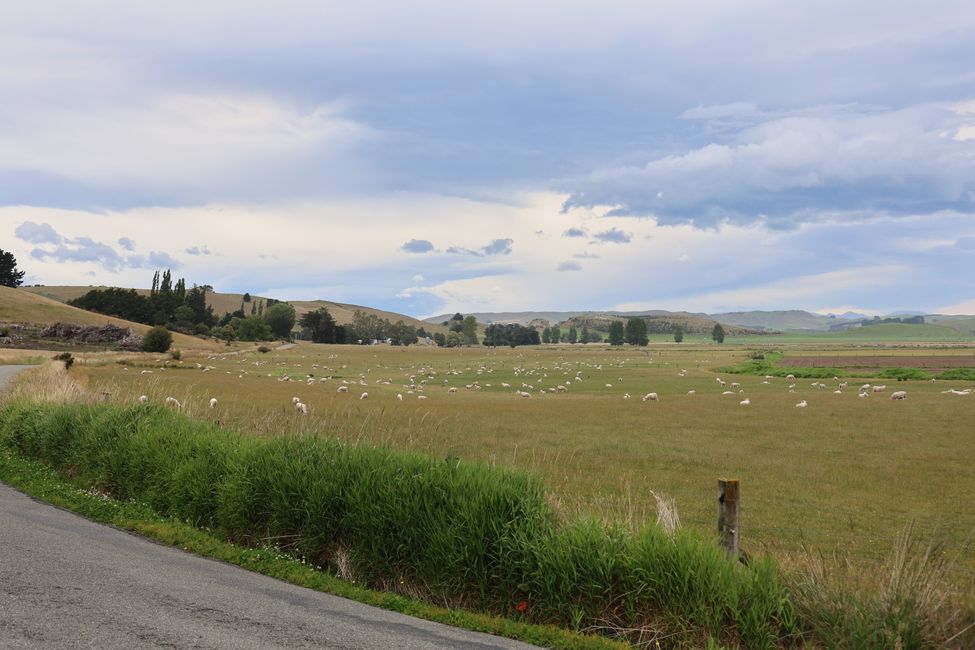 Über Wanaka zurück nach CHC