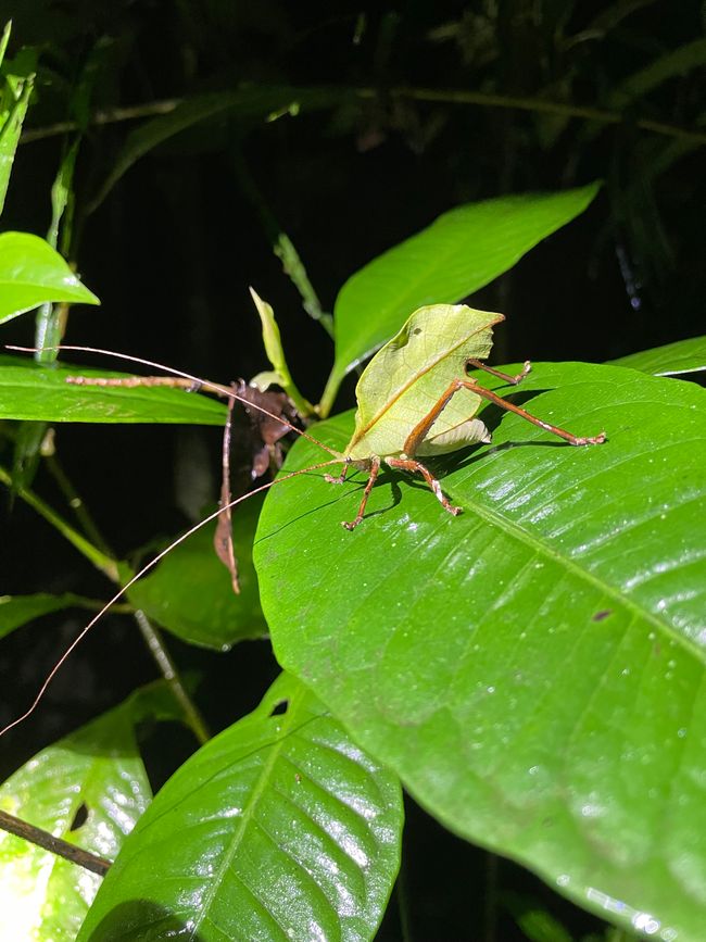 Zwei Ausflüge der besonderen Art