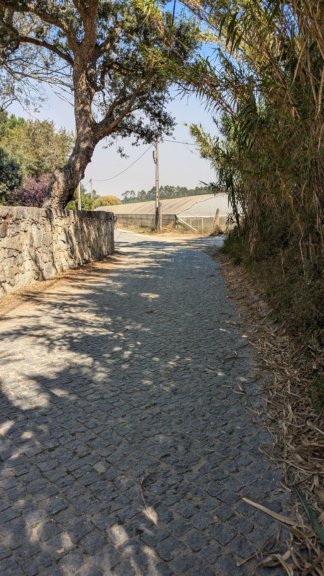 Second stage on the Camino Portugues da Costa from Povoa Varzim to Apulia Praia