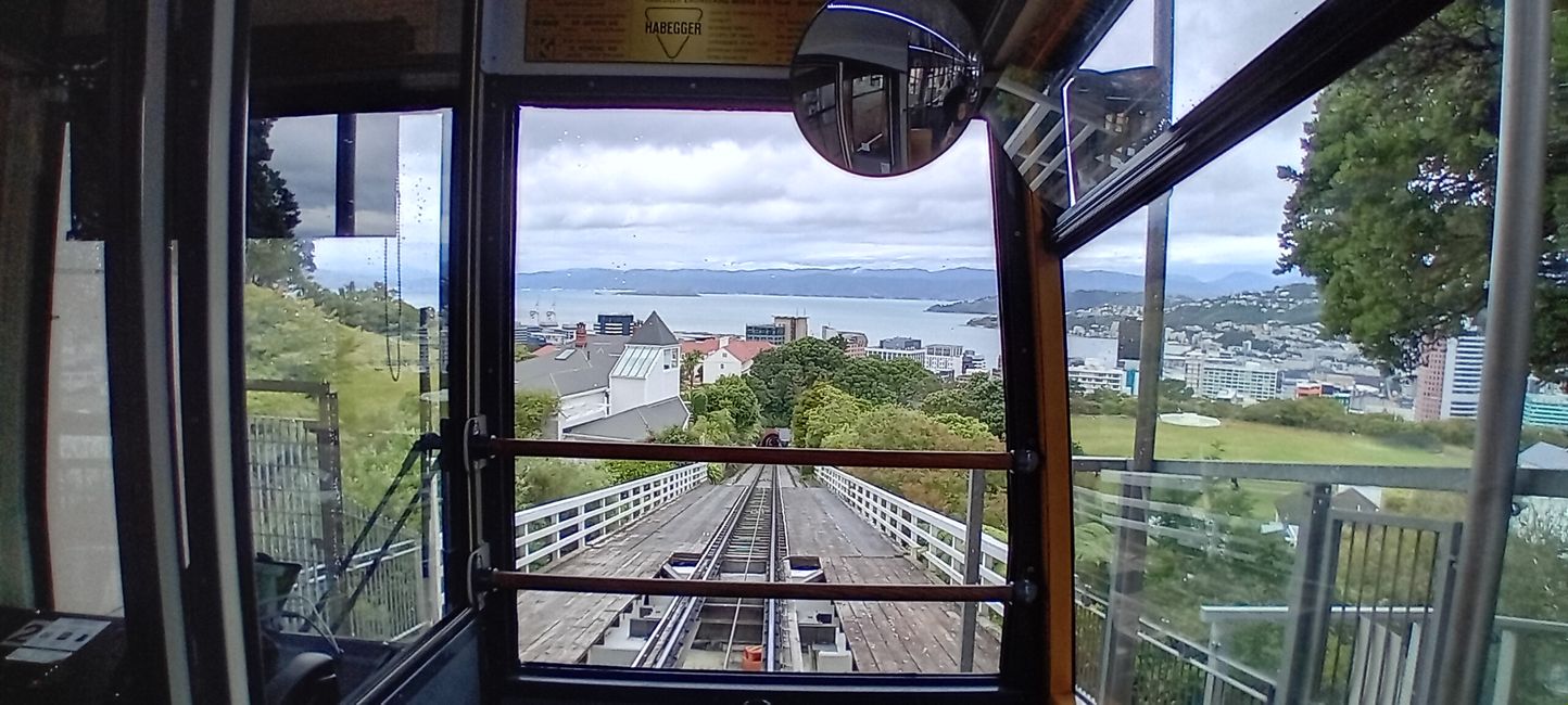 Wellington