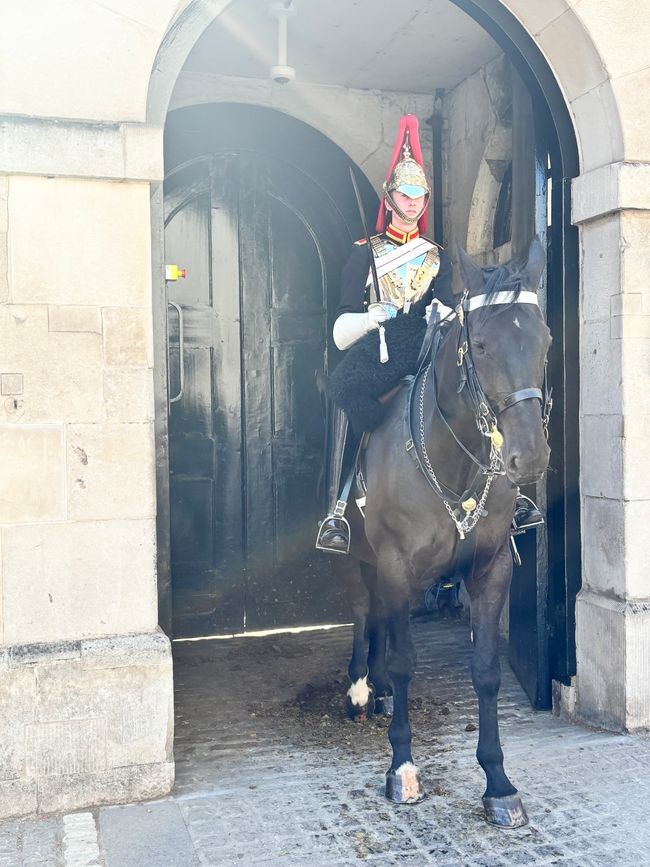 Cavalieri della guardia