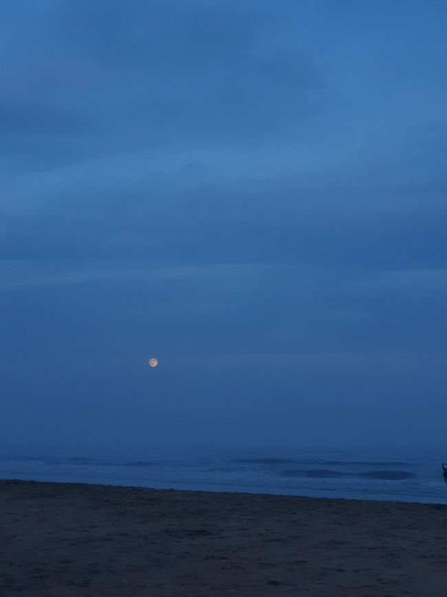 Ich bin noch da 🙋🏻‍♀️