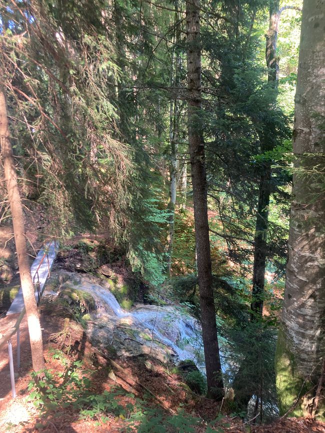 Das Wandern ist des Fischers  Lust-Ellegghöhe