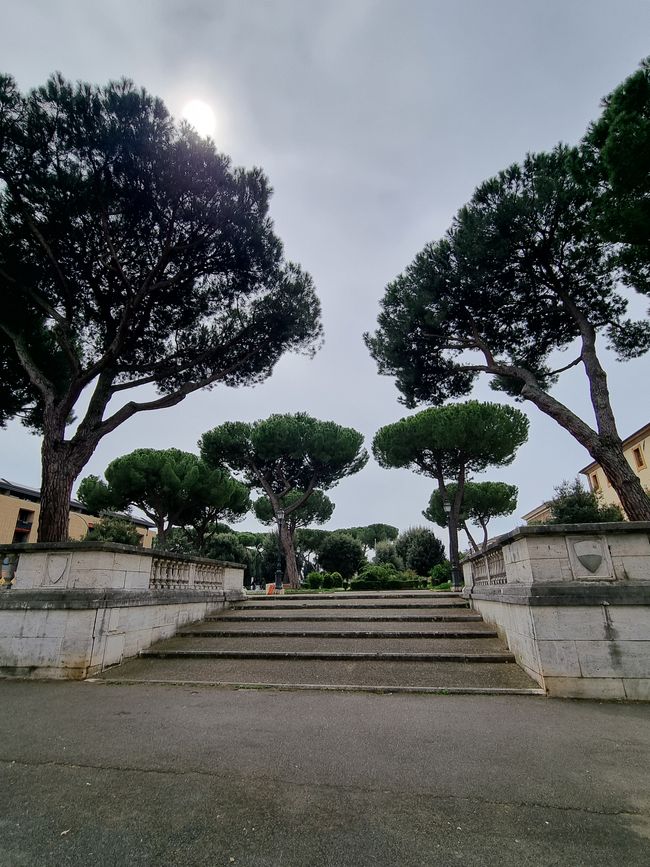 Siena