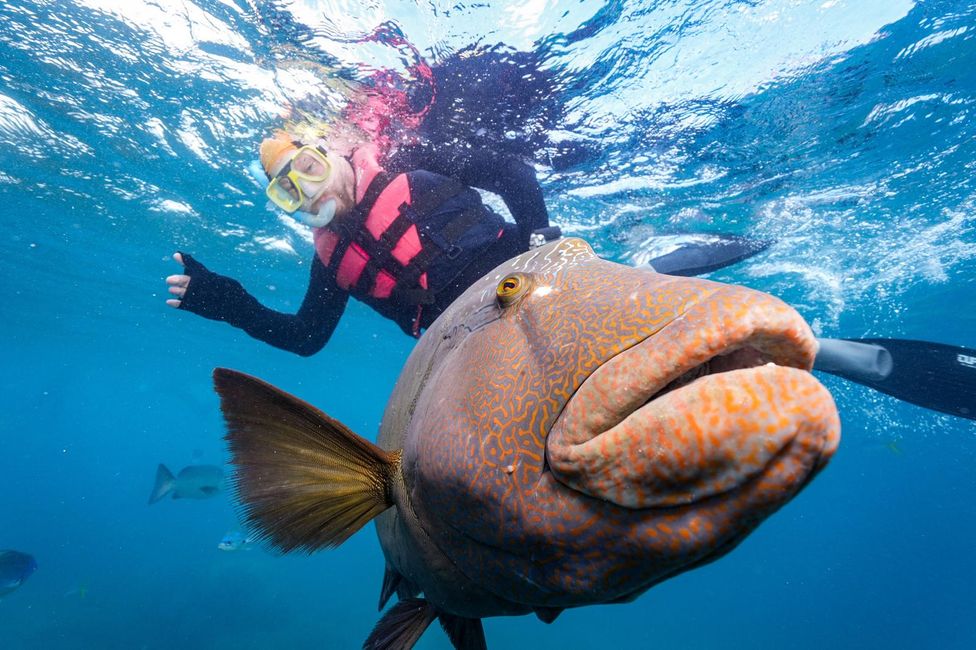 Tag 27, 21. Mai, Great Barrier Reef