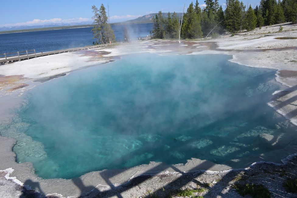 Bassin de geysers West Thumb