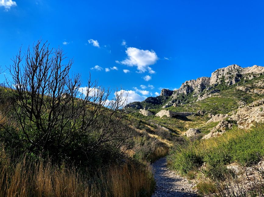 The Flavors of the Alpilles