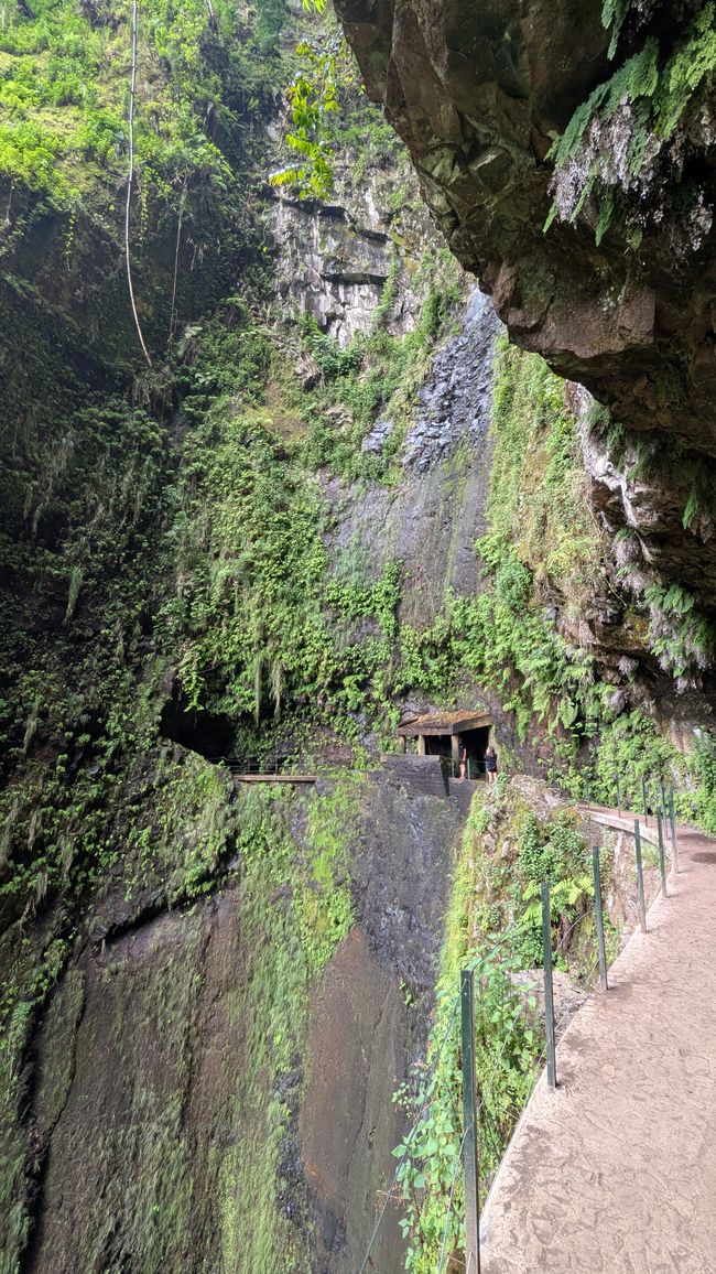 Tag 13: Levada da Ribeira da Janela & Nordwestküste