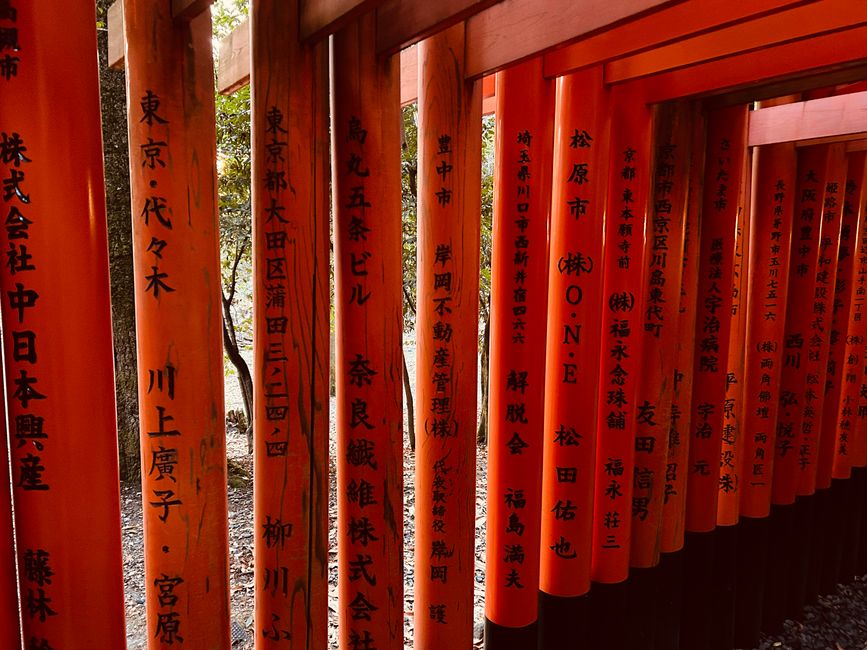 Kyoto - Days 6-9
