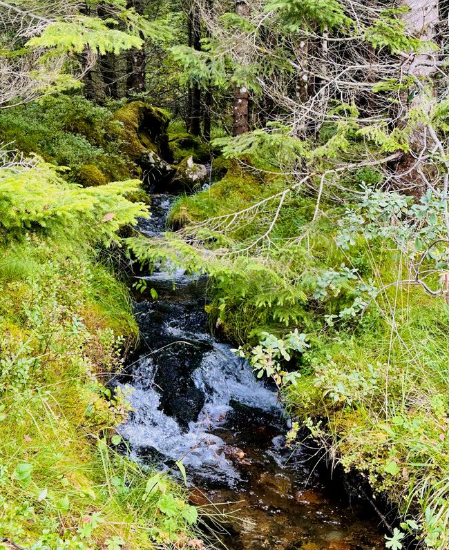 En la pista de los trolls: senderismo en Hustadvika