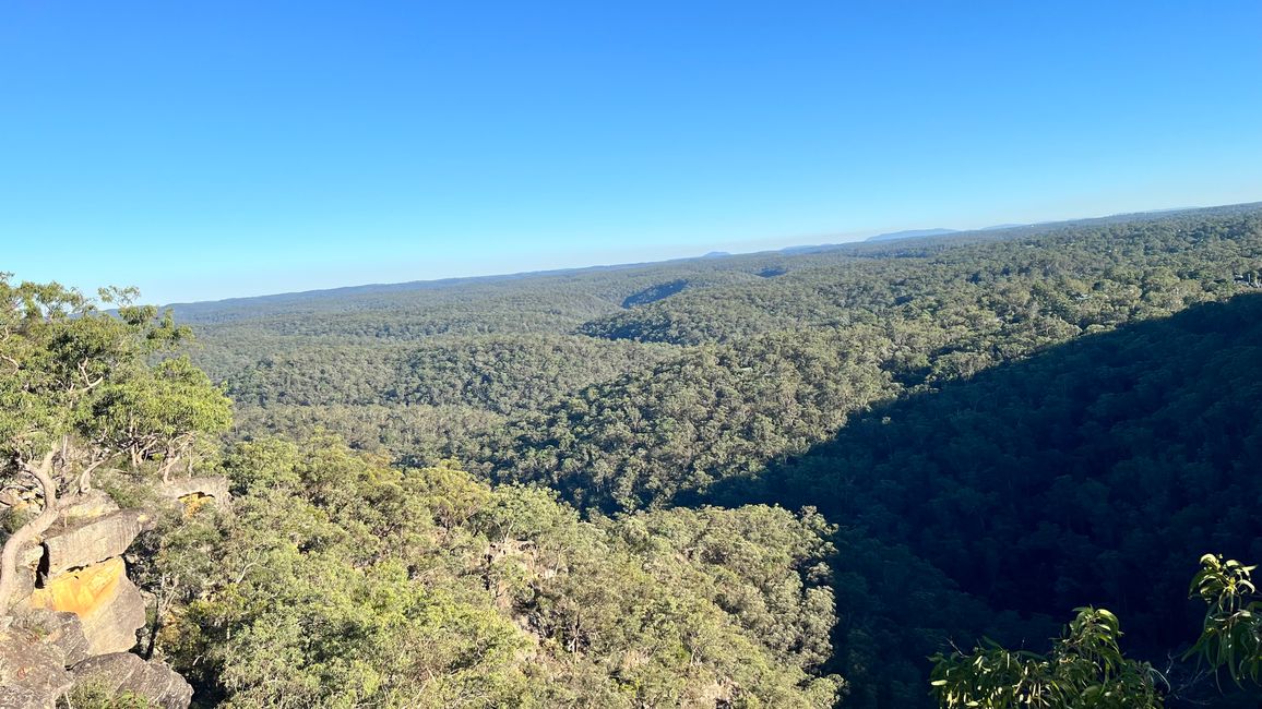 Blue Mountains
