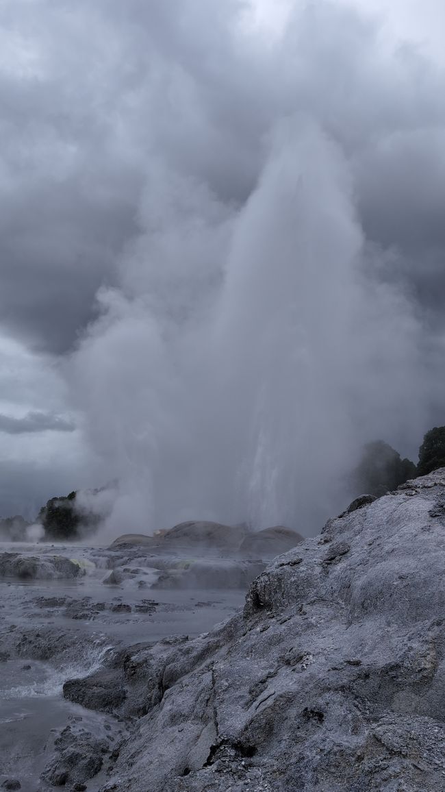 Te Pūia
