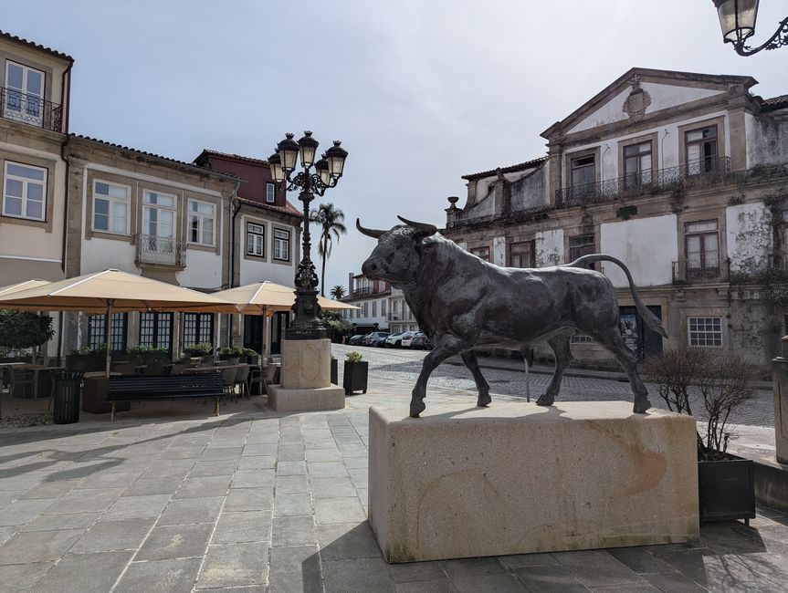 Biotopo dei pellegrini in Portogallo (Camino Portugues 4)
