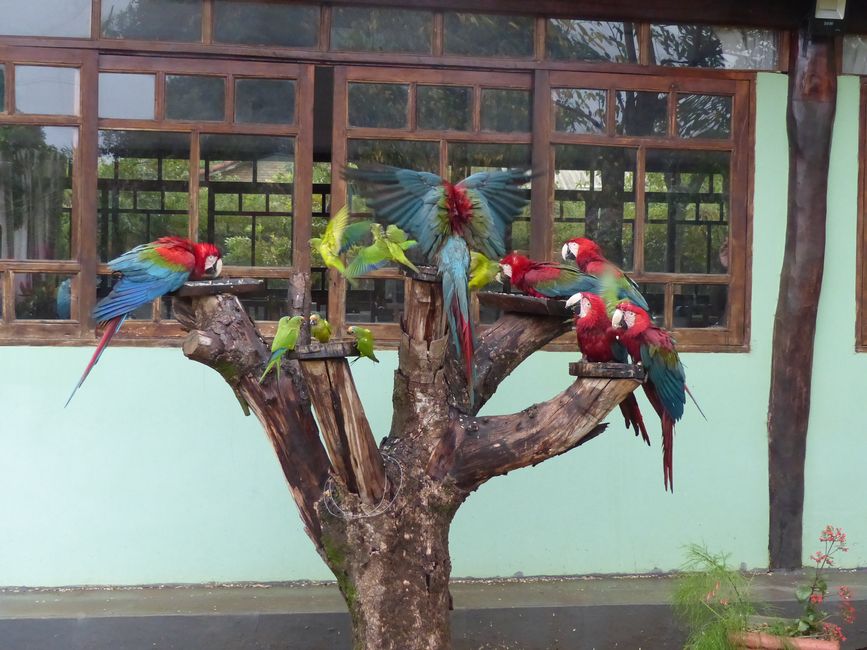 Brasilien, Bonito