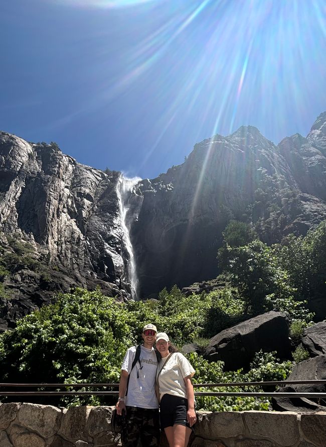 Tag 9 - Ultimo giorno nello Yosemite e un momento indimenticabile con un orso 🐻