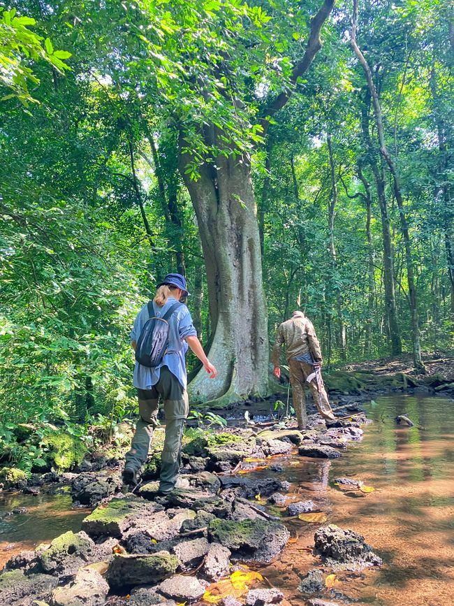 Queen Elizabeth Nationalpark