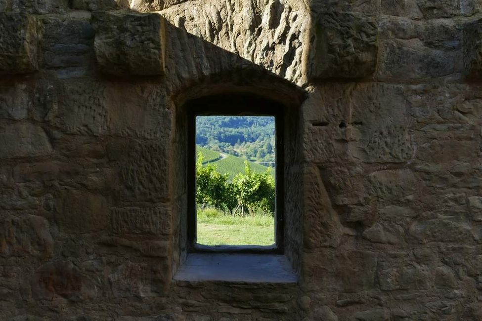 Zwischen Weinreben und Geschichte: Die Yburg im Fokus 📸