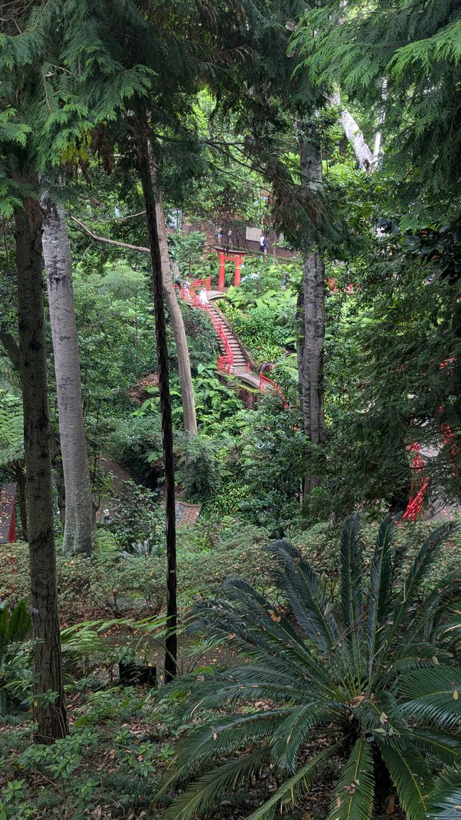 urück den berg hinauf zum Monte