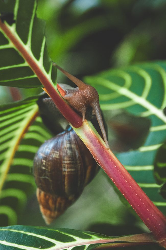 O'ahu, Hawaii