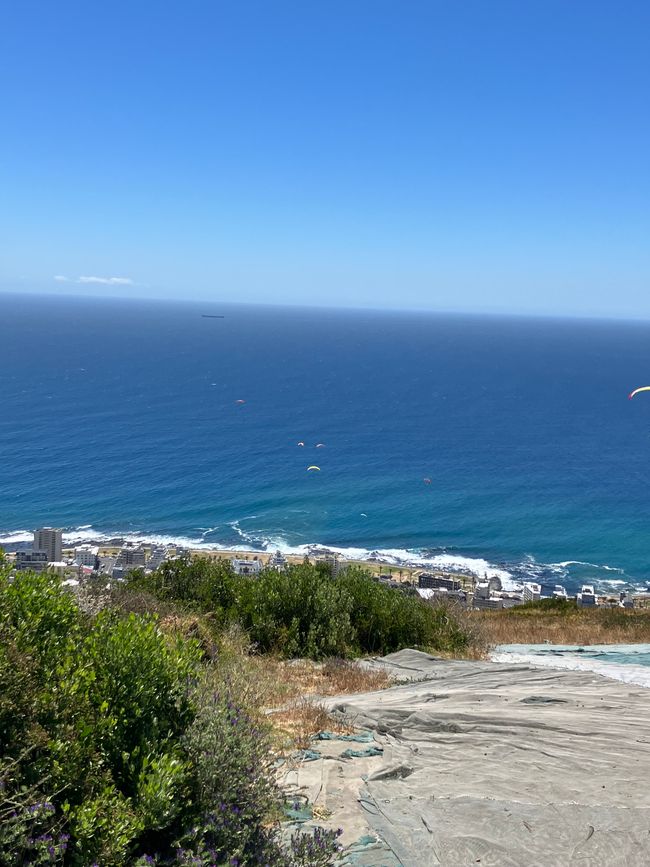 Hang gliders down from Signal hill 