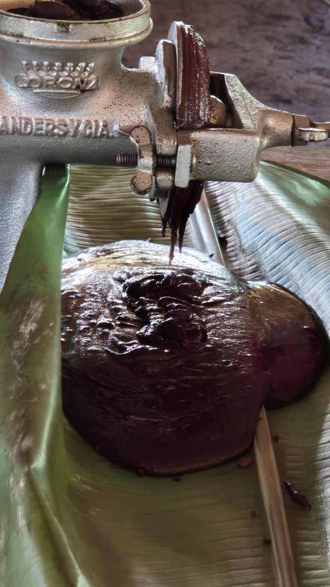 Bereitung der Kakaomasse